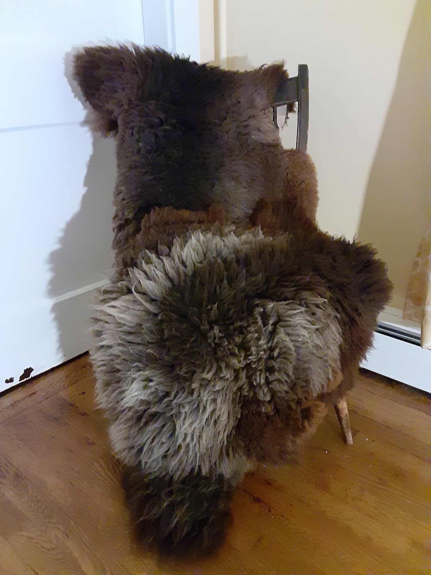 Tanned Sheep Skins