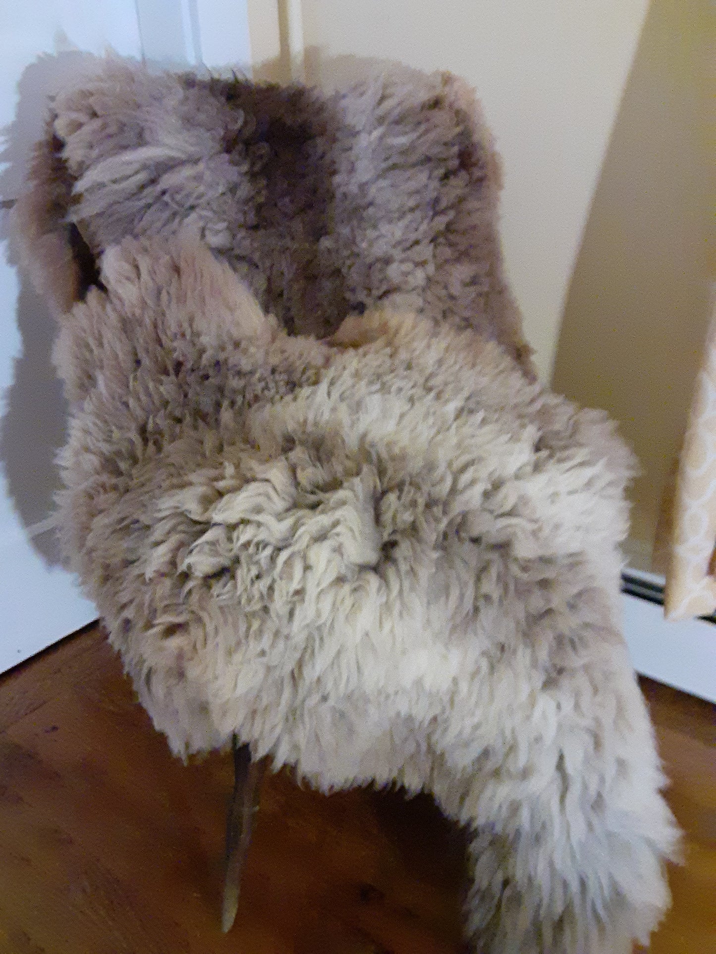 Tanned Sheep Skins