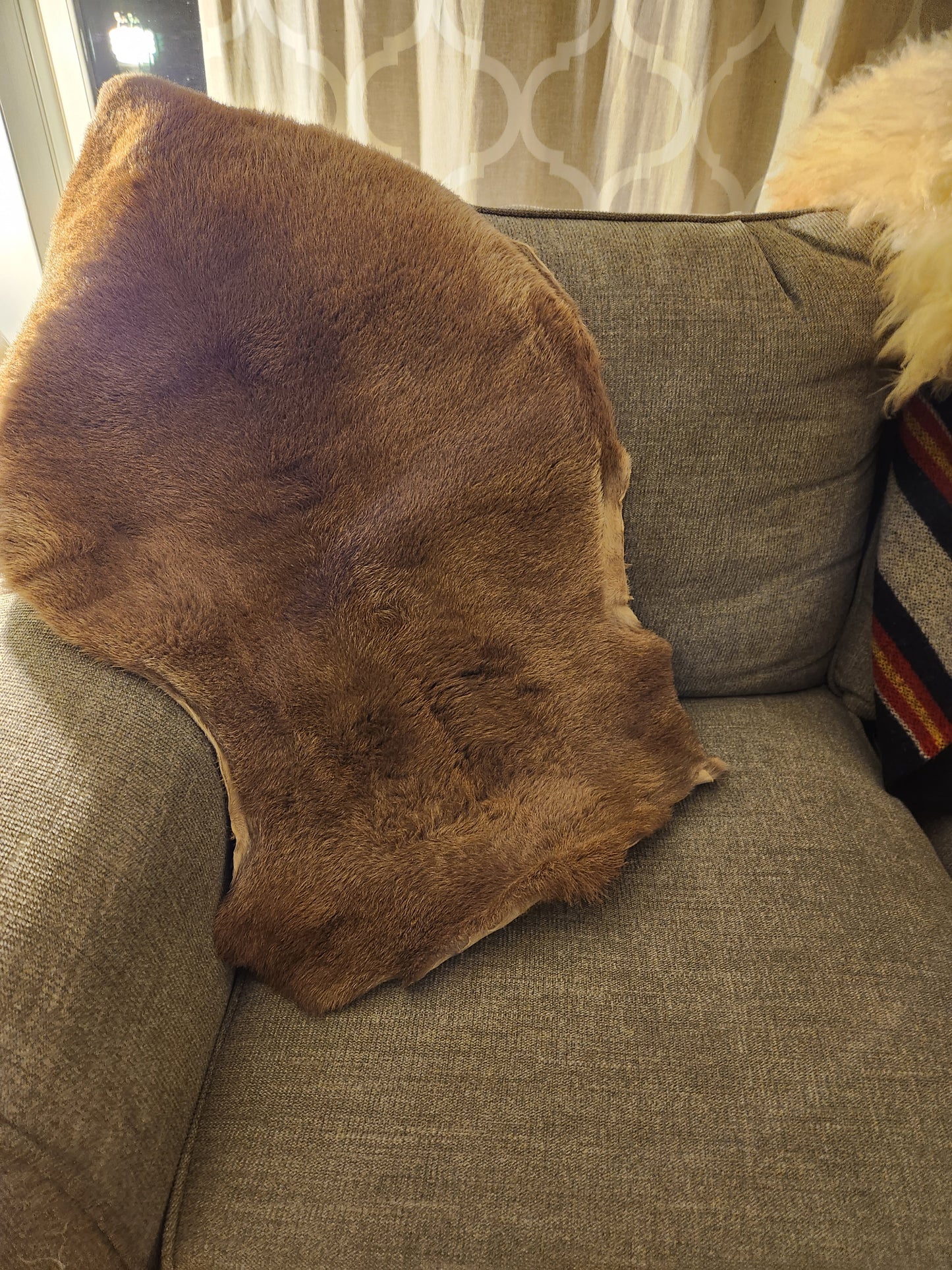 Tanned Sheep Skins