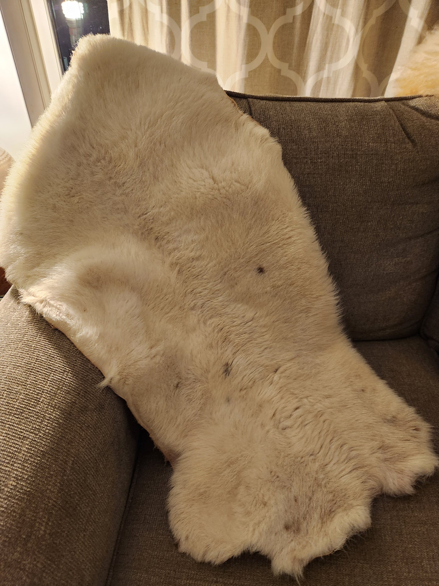 Tanned Sheep Skins