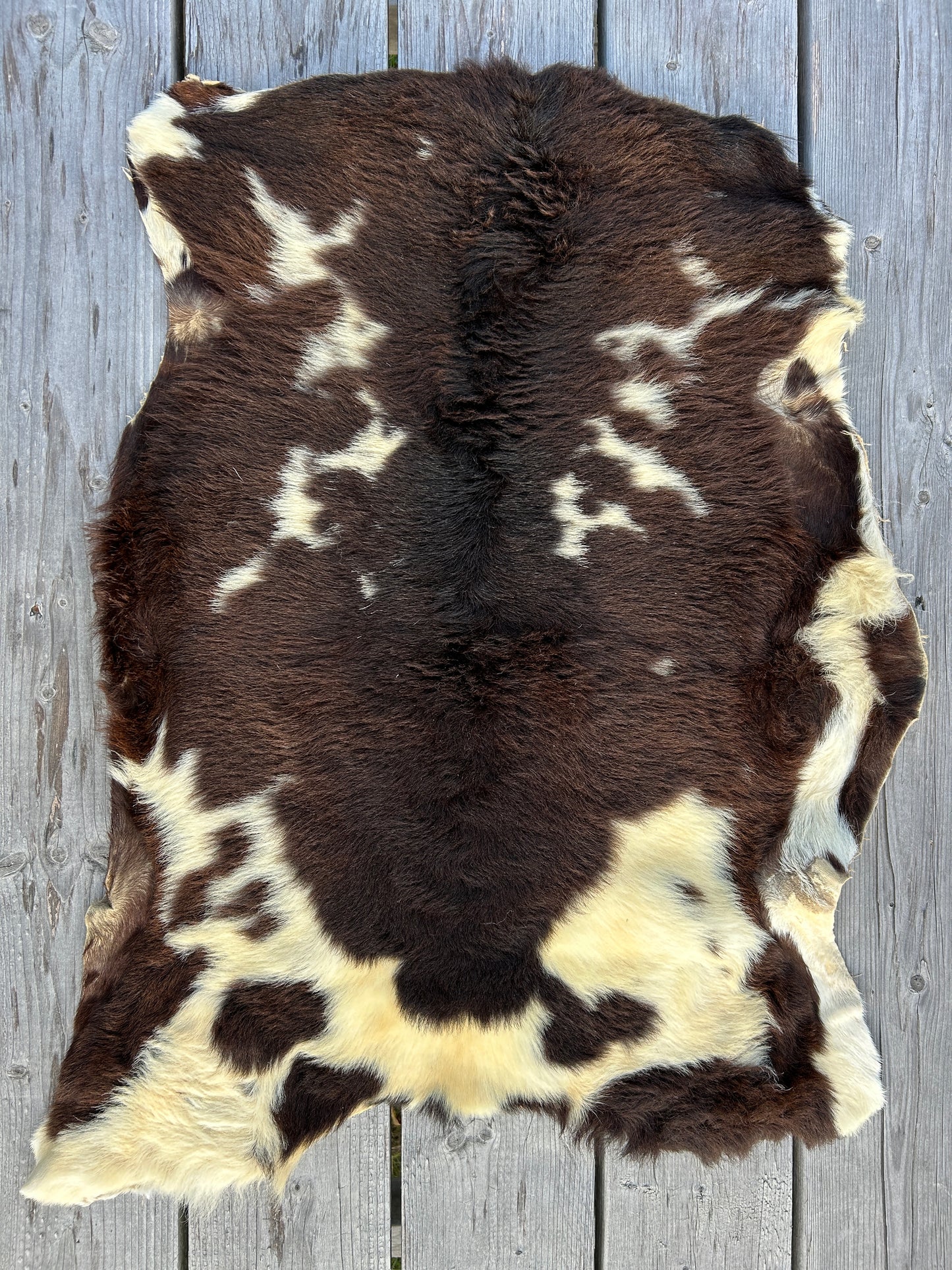 Tanned Sheep Skins