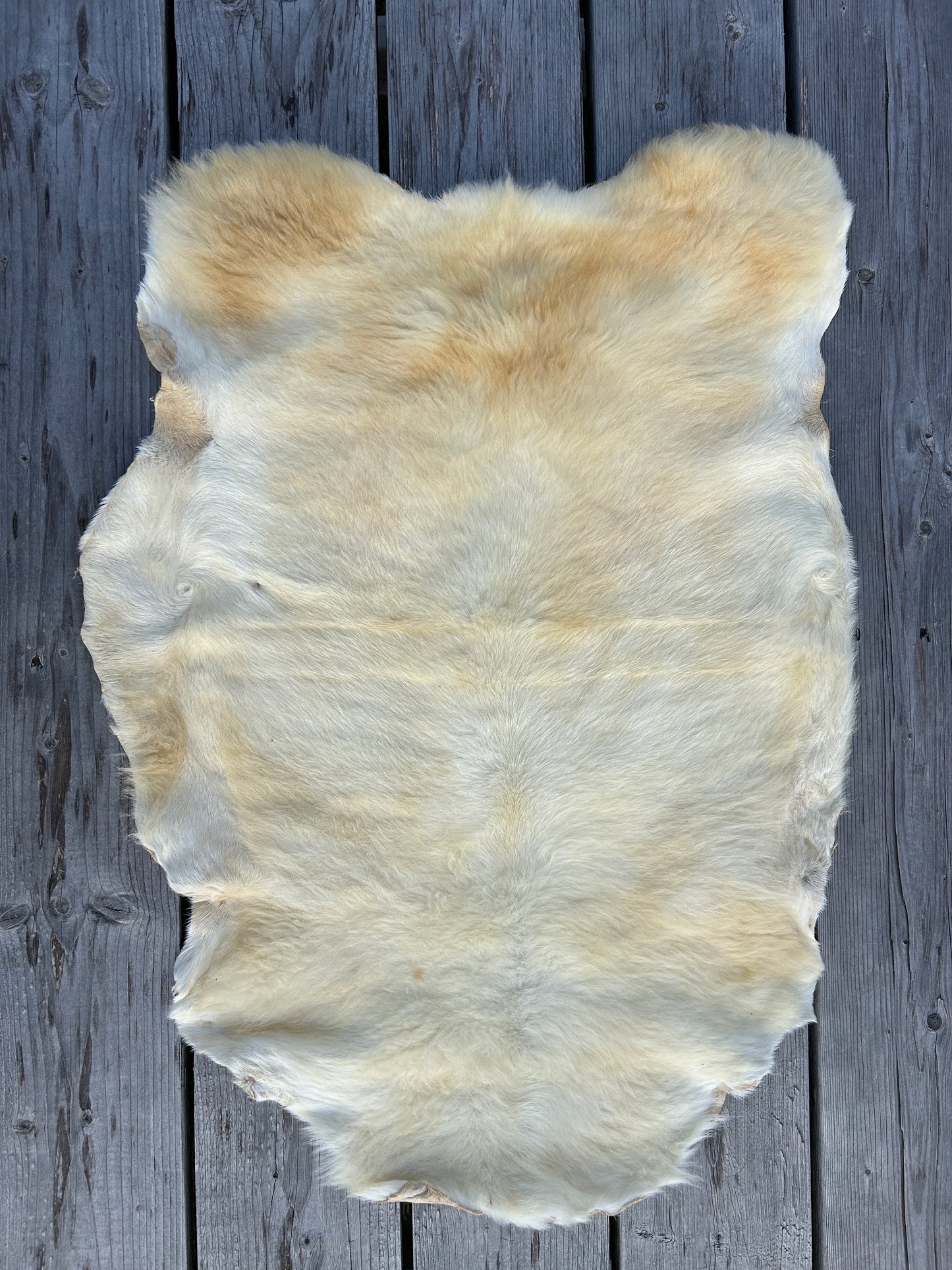 Tanned Sheep Skins