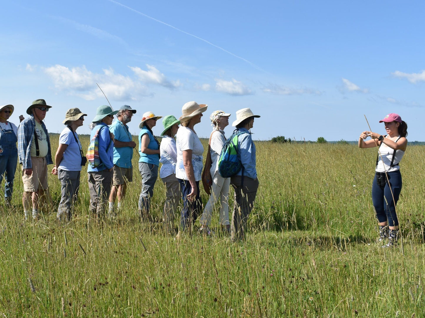 Ag Allies Field Walk and Talk with Laura Lecker July 11th: 8AM-10AM