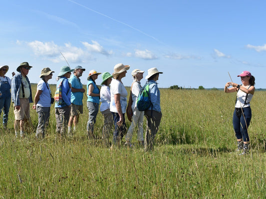 Ag Allies Field Walk and Talk with Laura Lecker July 11th: 8AM-10AM