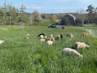 Fall Mixed Meat CSA DEPOSIT